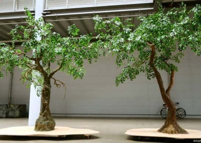 2 große Kunstbäume, ca. 350 cm - 400 cm hoch vor dem ZDF Studio in Köln